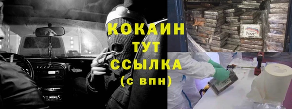 соль ск Богданович
