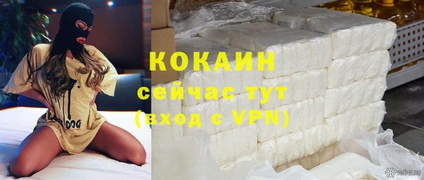 ECSTASY Белокуриха