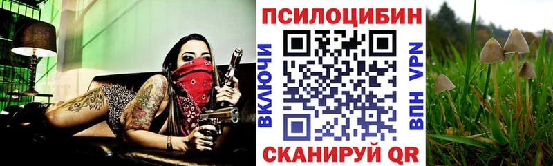 Галлюциногенные грибы ЛСД  Купино 